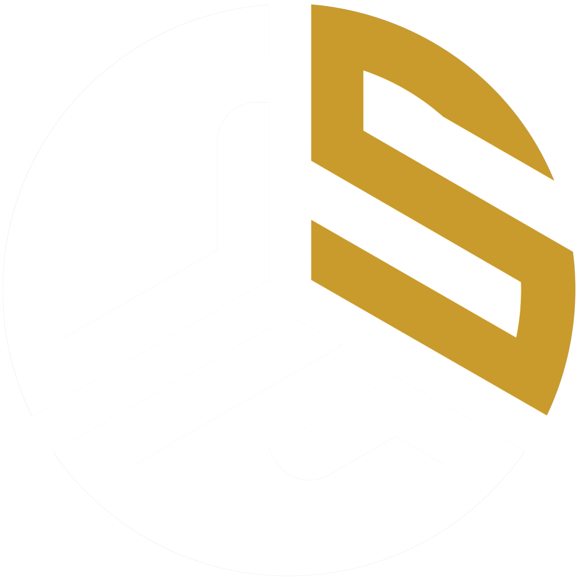 DSG logo